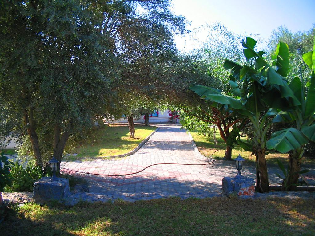 Bare Hill Holiday Village Elea Ngoại thất bức ảnh